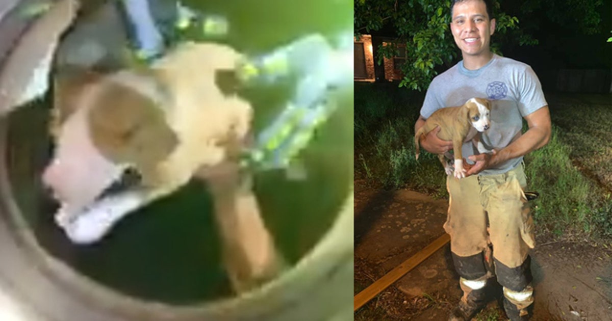 Texas firefighters rescue puppy from storm drain | FOX 5 Atlanta