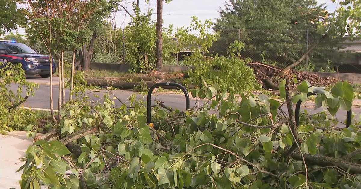Cleanup continues after severe storms blow through metro Atlanta | FOX ...