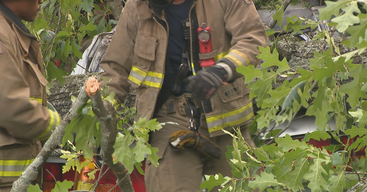 Firefighters rescue driver who was trapped by toppled tree | FOX 5 Atlanta