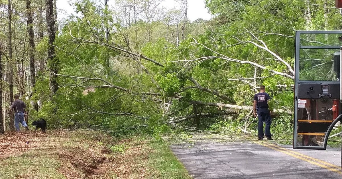 Severe storms leave damage across parts of north Georgia | FOX 5 Atlanta