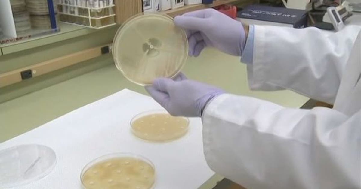 FDA OKs 1st drug to treat smallpox, in case of terror attack | FOX 5 ...