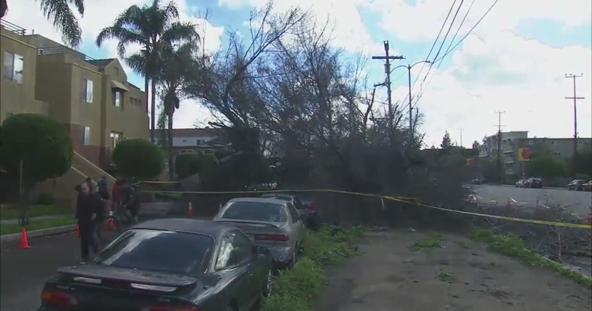Powerful storm causes deaths, damage across SoCal | FOX 5 Atlanta