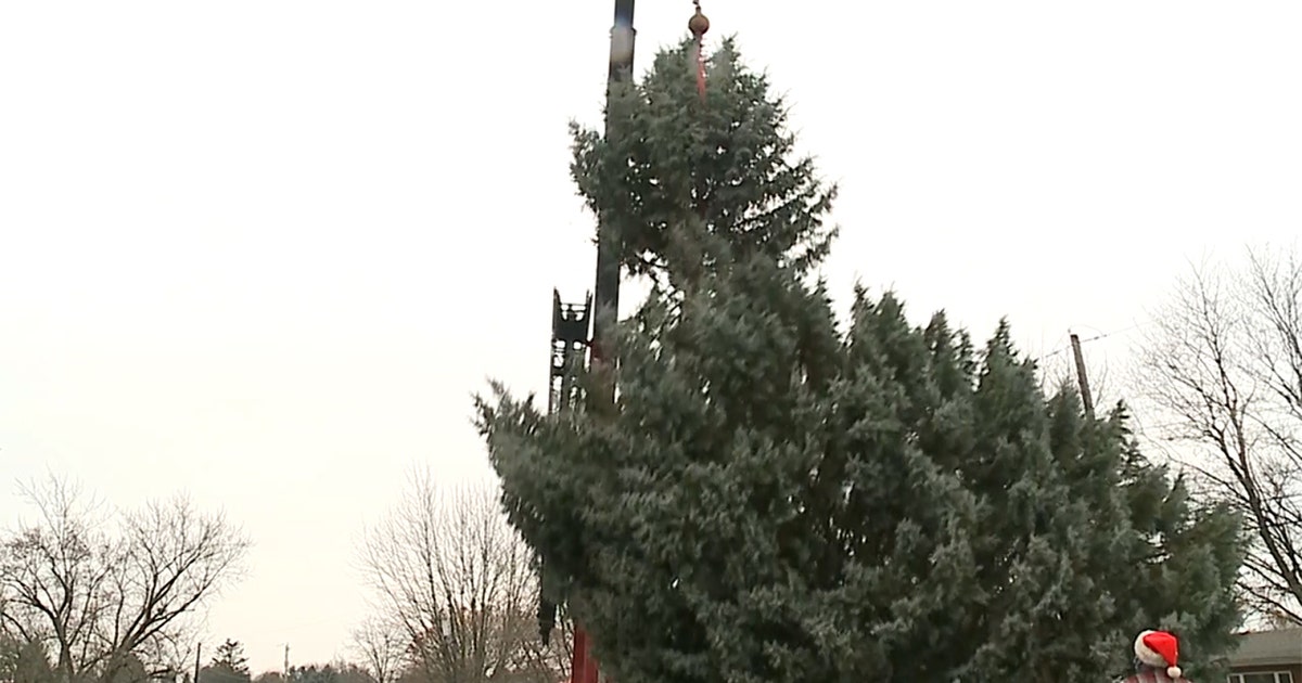 Caught on camera: Top of city's Christmas tree snaps off | FOX 5 Atlanta