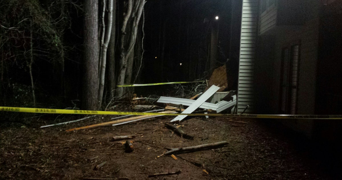 Man robbed after tree crashes into his apartment | FOX 5 Atlanta