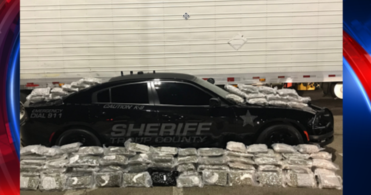 Major marijuana bust in Troup County | FOX 5 Atlanta