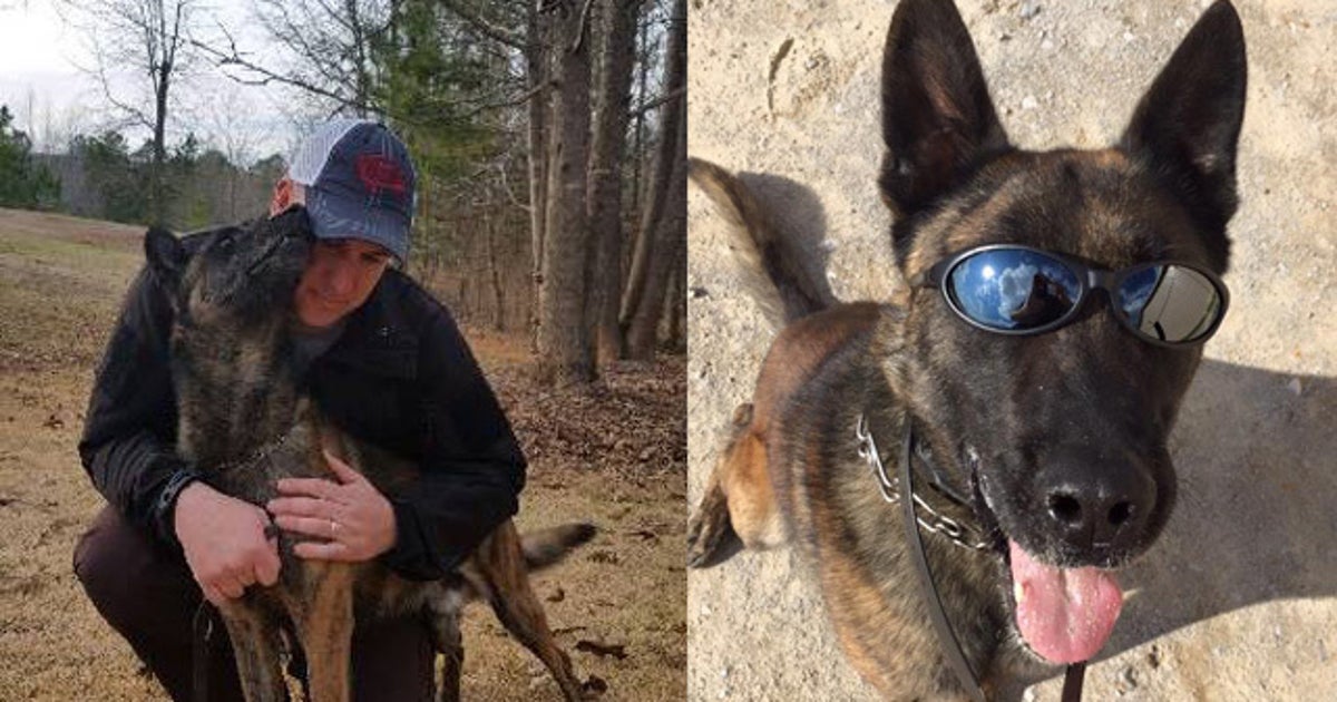 Troup County K-9 officer dies after illness | FOX 5 Atlanta