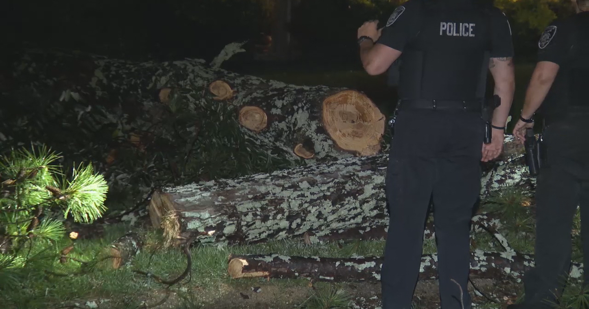 Storms down trees, power lines overnight | FOX 5 Atlanta