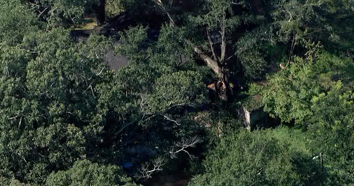 Norcross family displaced after tree falls onto home | FOX 5 Atlanta