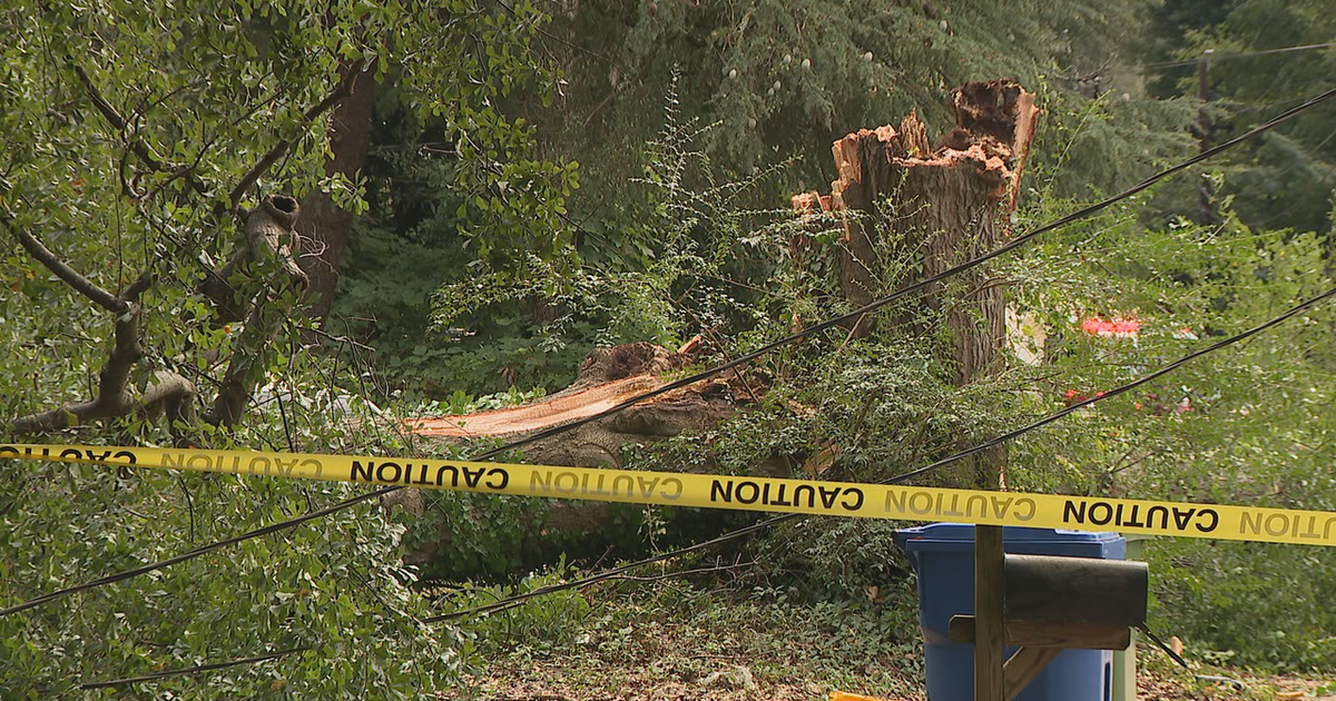 Tree traps people in Atlanta home | FOX 5 Atlanta