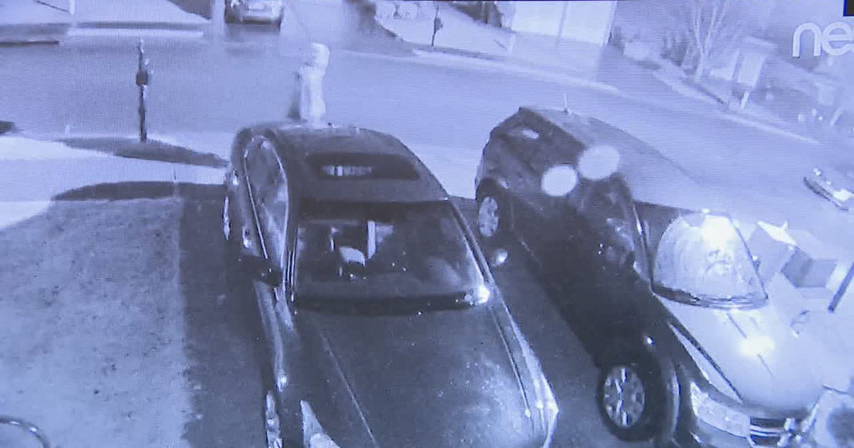 Bat-wielding homeowner confronts thief in Canton | FOX 5 Atlanta