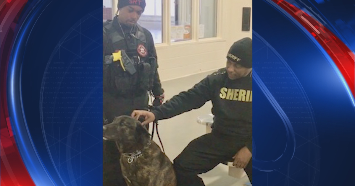 K-9 officer to be laid to rest in Clayton County | FOX 5 Atlanta