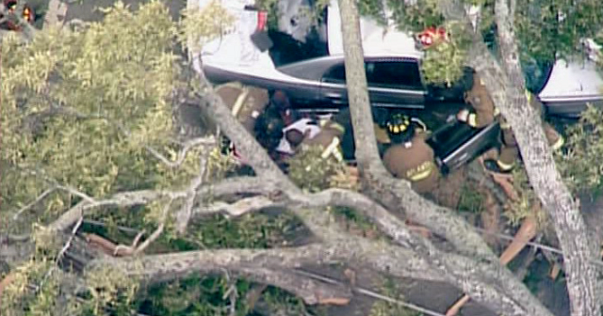 Passengers rescued from car after tree traps them | FOX 5 Atlanta