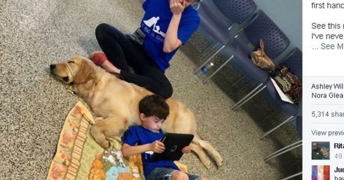 Moment autistic boy bonds with service dog touches thousands | FOX 5 ...