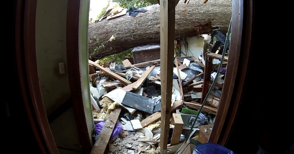 Woman trapped by fallen tree calls 911 to talk to mom | FOX 5 Atlanta