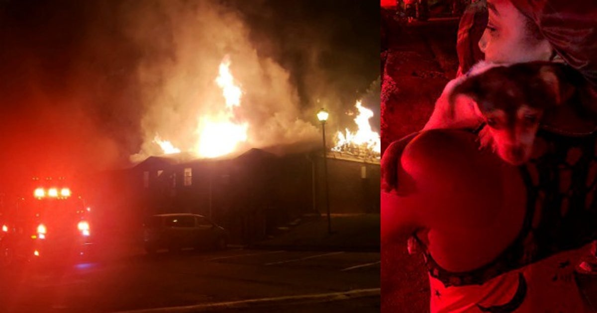 Residents, pets escape DeKalb County apartment fire | FOX 5 Atlanta