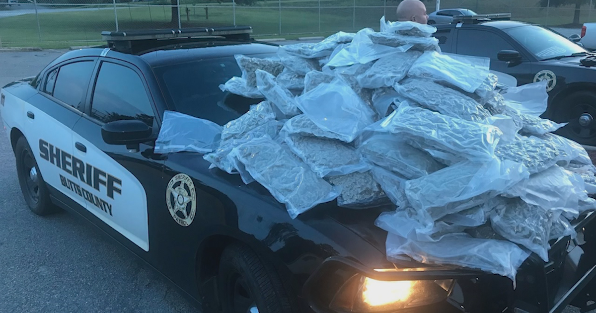 Butts County deputies make massive marijuana bust | FOX 5 Atlanta