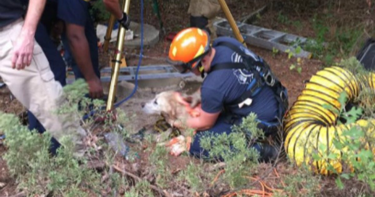 Dog rescued after falling down 40 foot open well | FOX 5 Atlanta