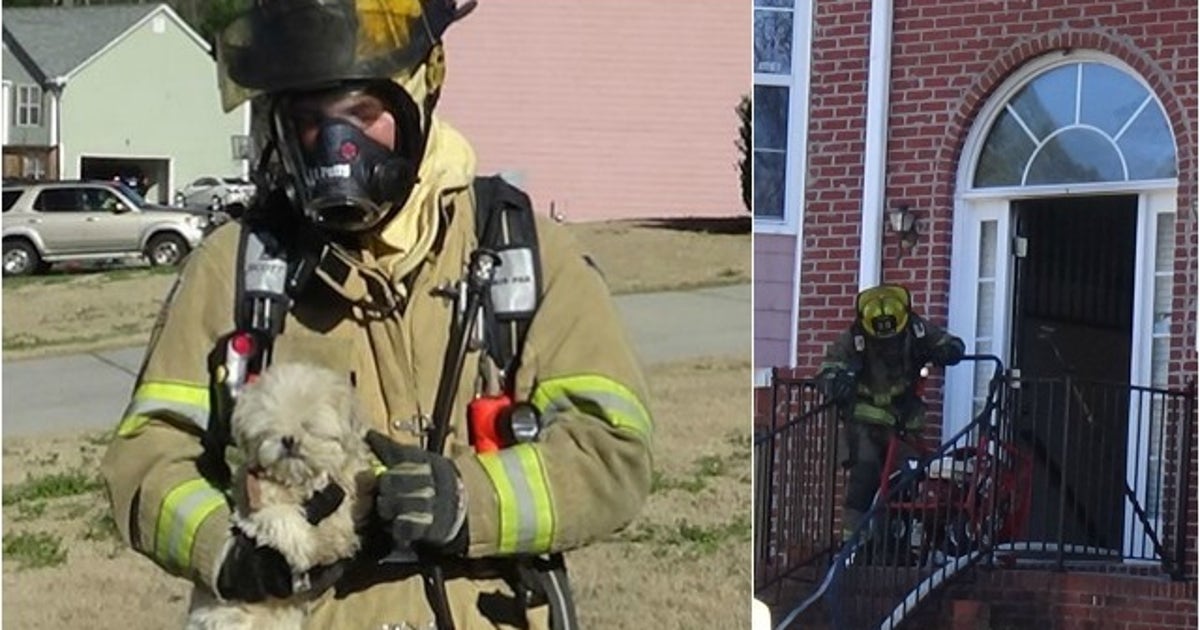 Gwinnett County Firefighters Save Family's Dog from House Fire | FOX 5 ...