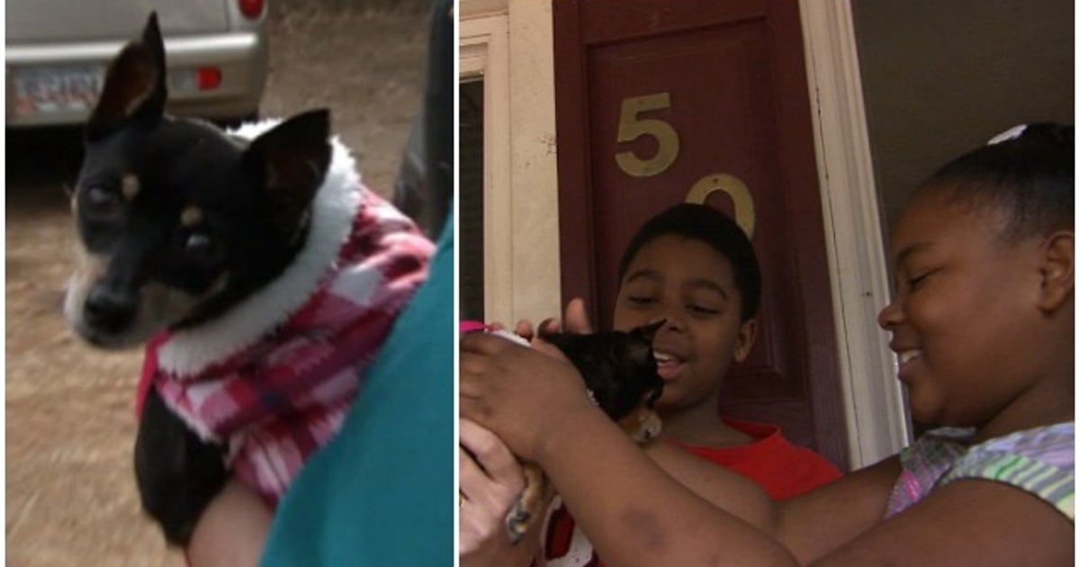 Family from Newnan reunites with lost dog | FOX 5 Atlanta