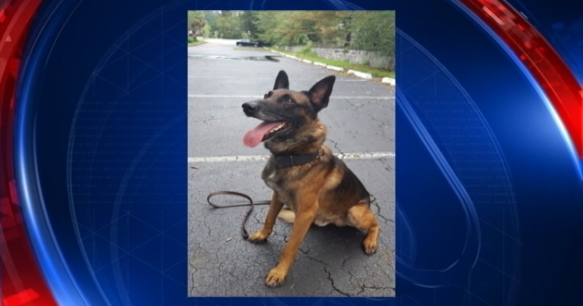 Deputy disciplined, reassigned after K-9 partner's death | FOX 5 Atlanta