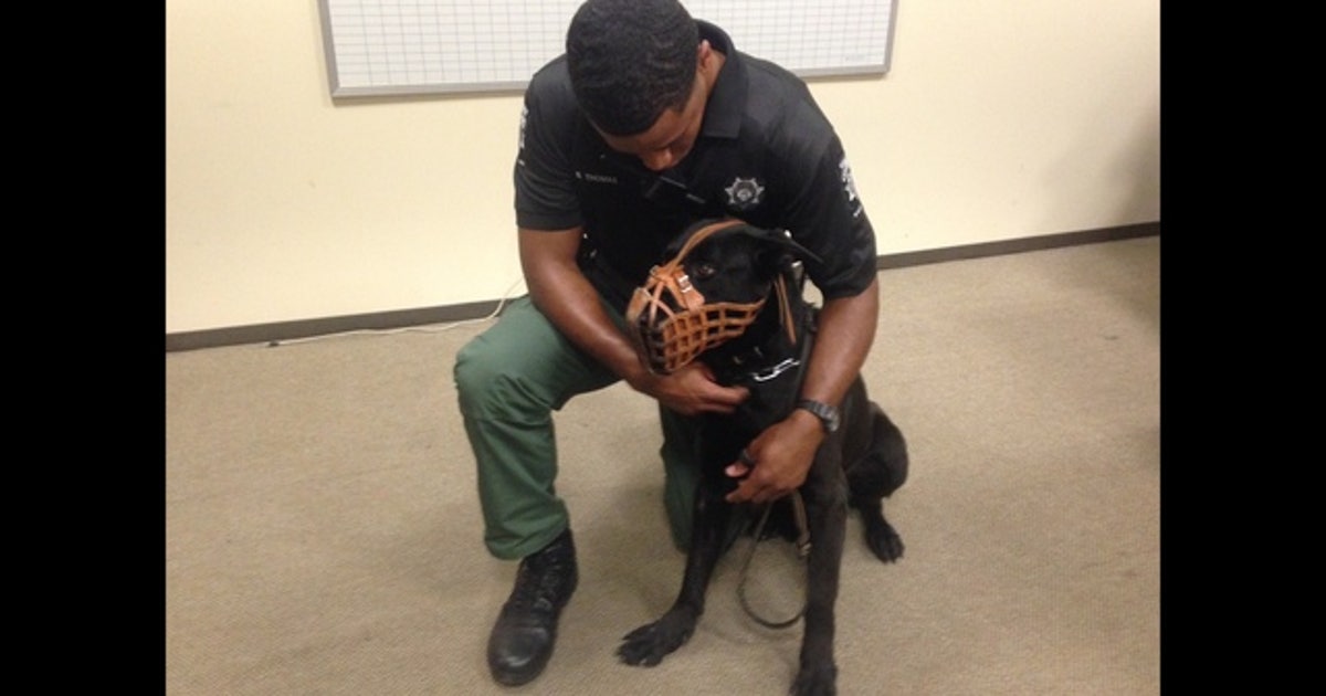 Fulton Co. Sheriff swears in new K-9 deputy | FOX 5 Atlanta