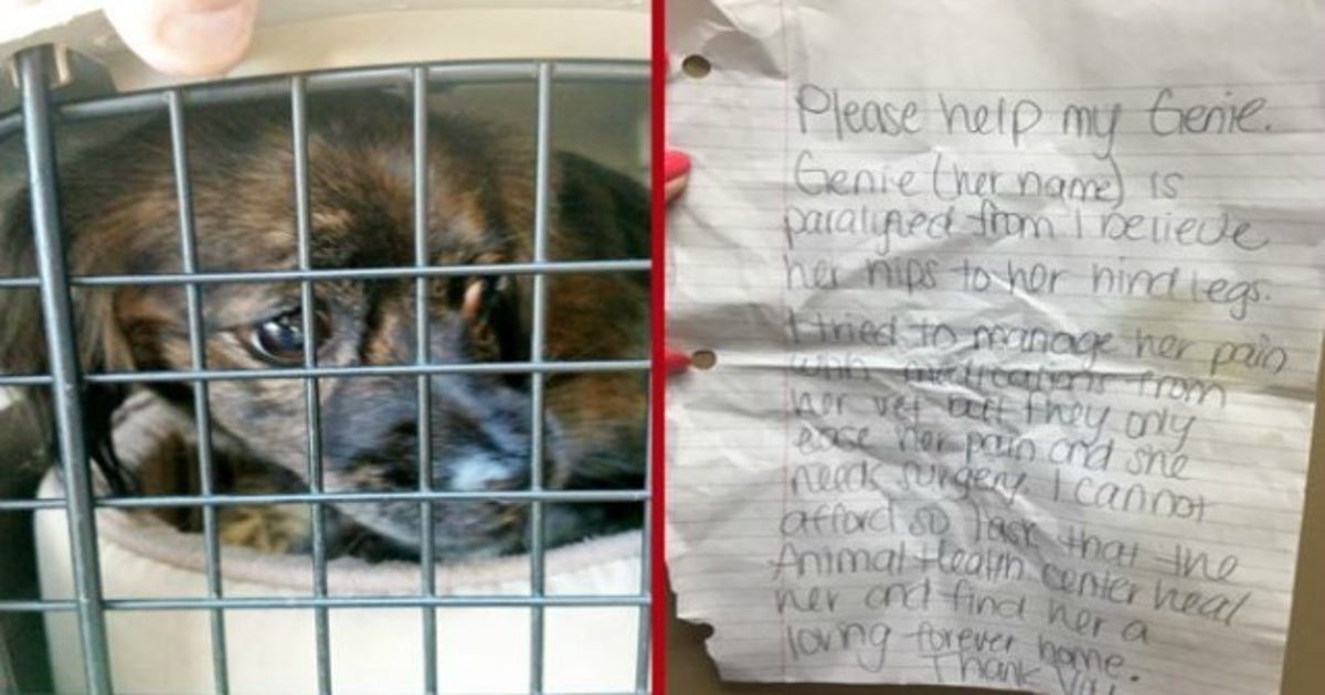 Heartbreaking note left with paralyzed dog at shelter | FOX 5 Atlanta