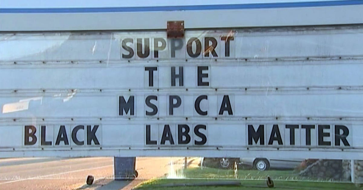 Black Lab Address Signs 'Black labs matter' sign gets mixed reaction | FOX 5 Atlanta