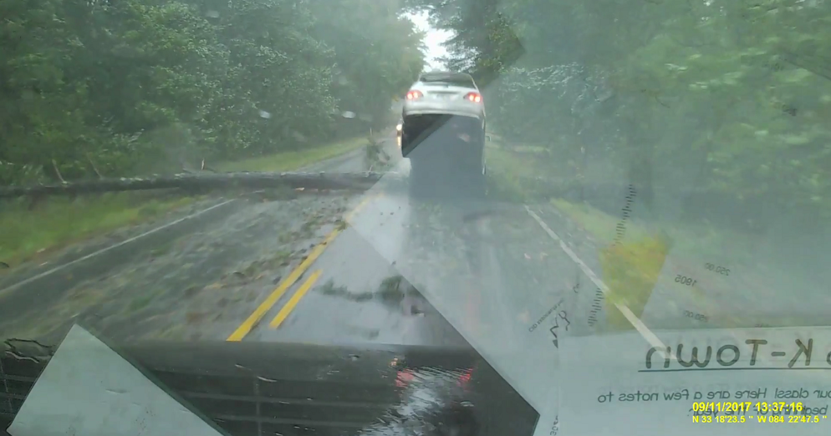 VIDEO: Driver slams into fallen tree | FOX 5 Atlanta