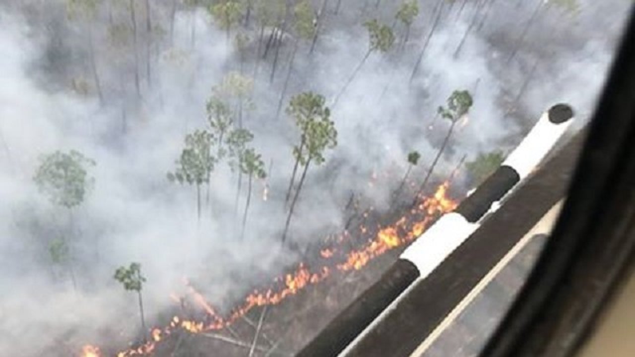 Campfires banned in Okefenokee refuge as wildfire burns FOX 5 Atlanta
