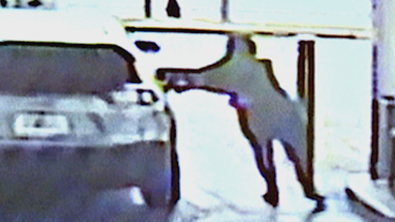 Video Thieves almost run over woman during slider crime