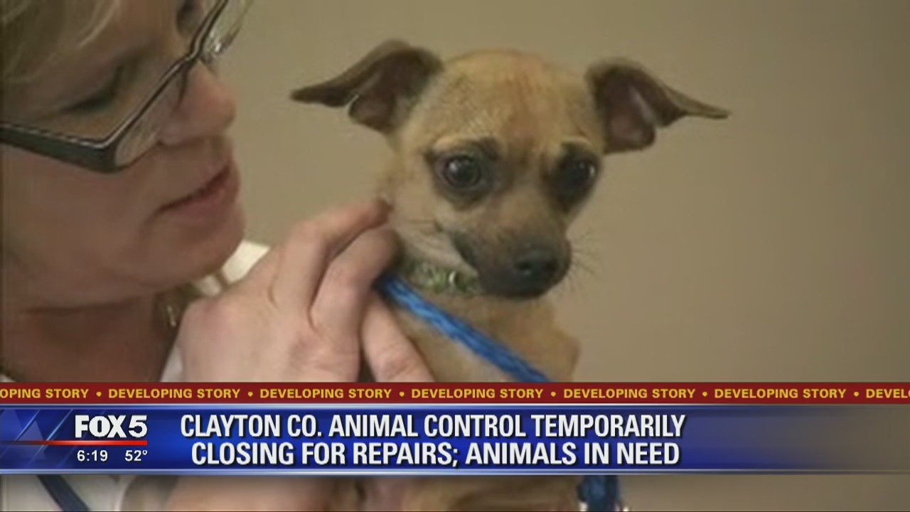 Clayton County Animal Control must find homes for more than 130 animals