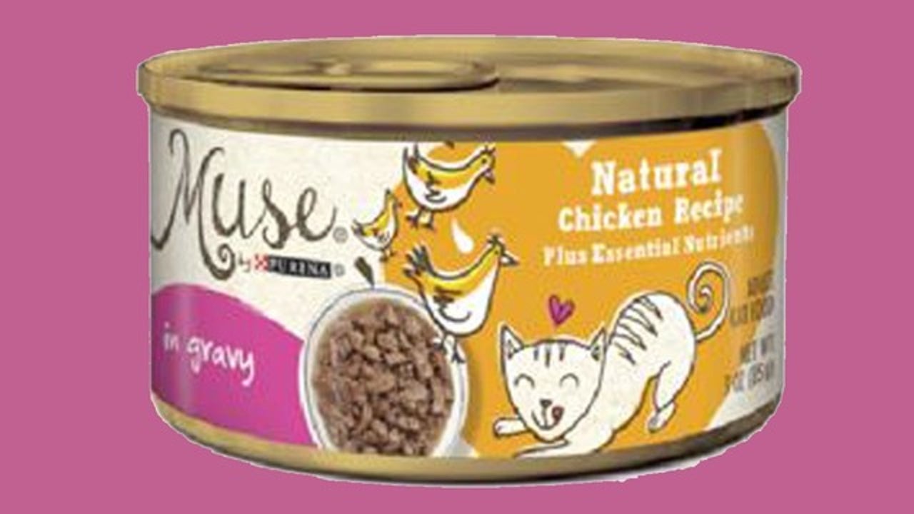 Muse canned cat food top