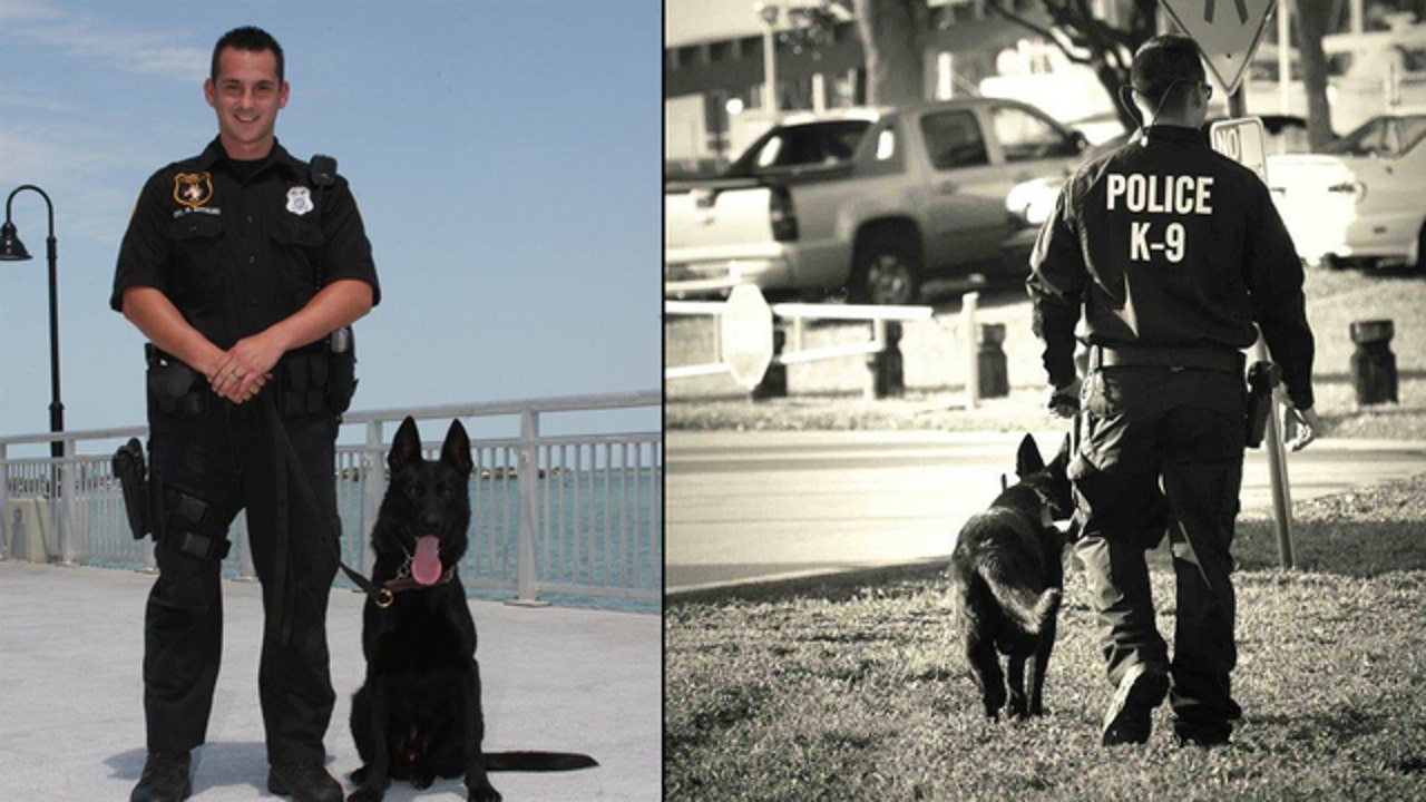 Clearwater officer writes heartbreaking letter to K9 partner | FOX 5 ...