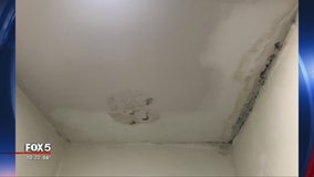 Reports of mold being found in Georgia State University dorms
