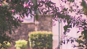 $2,000 reward offered for arrest in rape of 94-year-old woman