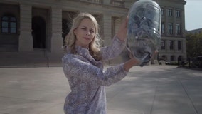 Like It or Not:  Georgia Banks and Banking Committee