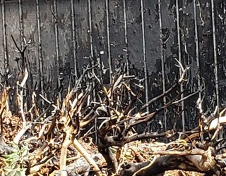 20190705_102526_1562357393217.jpg
