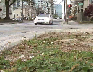 P PIEDMONT WOMAN NECK SLASHED 10P_00.01.06.03_1490671027147.png