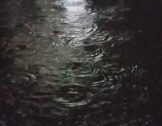 P MORE FLOODING 11P_00.00.59.12_1550810184816.png.jpg
