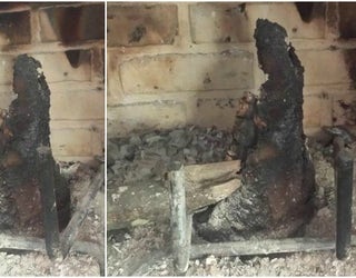virgin mary log_1459352117462.jpg