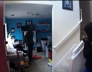 Burglary video_1518038453552.JPG.jpg