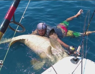 Monster_grouper_caught_by_St__Pete_man_3_20160422024918-401385