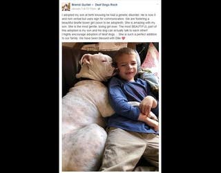Deaf dogs rock_1483526699559.JPG