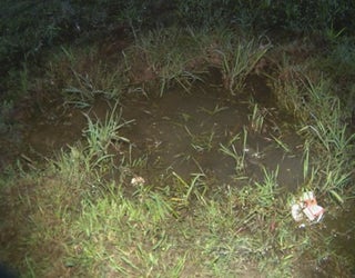 V DEADLY 85 FLAT SHOALS HIT AND RUN 5P _00.00.28.05_1538621599111.png.jpg