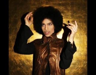 prince1_1460050798794.JPG