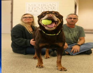 Baron-forever-home1_1488404209361-65880.jpg