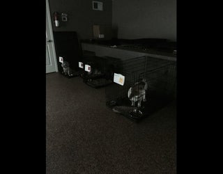Basement_1468975906008.jpeg