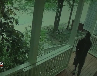 Bold_burglar_0_20160503032608