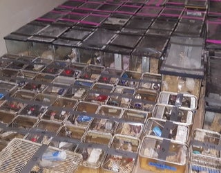 Cleburne small animal seizure1_1544206129022.PNG-409650.jpg