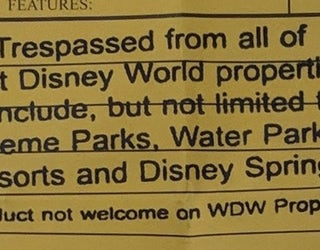 DION CINI_trump banner walt disney world splash mountain 2_111318_1542112812002.png-402429.jpg